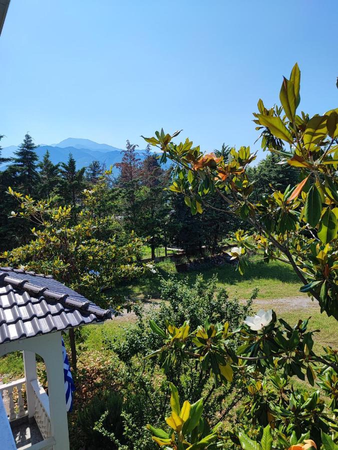Olympus Mytikas Apartment Litóchoron Dış mekan fotoğraf