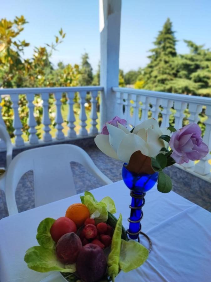 Olympus Mytikas Apartment Litóchoron Dış mekan fotoğraf