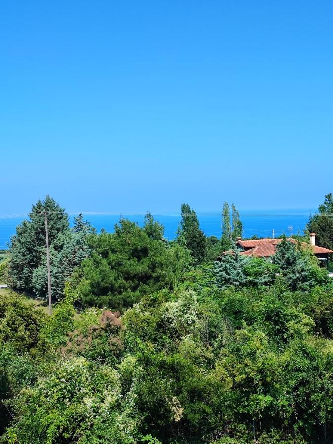 Olympus Mytikas Apartment Litóchoron Dış mekan fotoğraf